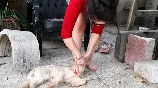 woman butcher goat/ vlog