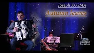 Accordion trio 
