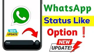 Whatsapp Status Like Option New Update❗ Whatsapp Status Like Kaise Kare❗Whatsapp Status Like Update
