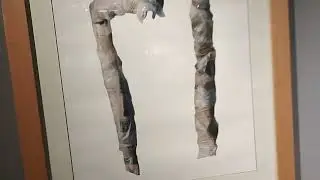 museo de la foto