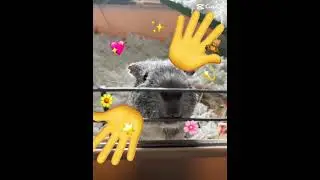 nyaa !! 😸 #shorts #edit #viral #trending #trendingshorts #blowup #memes #foryou #fyp #youtube