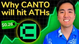 The CANTO Thesis (Part 5)