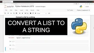 Python for Bioinformatics - How to Convert list to a string