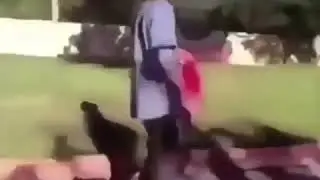 Want Some Candy?
