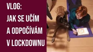 VLOG: TYPICKÝ STUDIJNÍ DEN V LOCKDOWNU