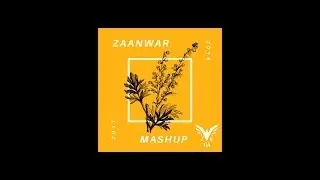 ZaanWar 2017-18' Mashup | The Pop Mashup
