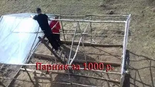Парник из стрейча  своими руками  Весенняя суета