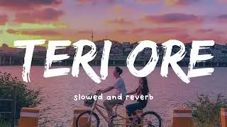 TERI ORE O RABBA NEW LOFI SONG SLOWED REVERB