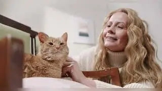 Getting a cat 5 of my fears. Why you can not be afraid to have a cat. 