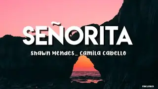 Shawn Mendes_ Camila Cabello - Señorita (Lyrics)