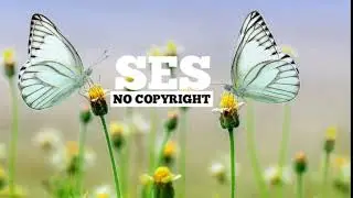 Ikson - Friends (SES Musically Mind No Copyright Music)