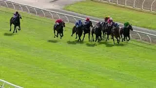 Zafar - Riccarton 2nd May 2026 - closing stages