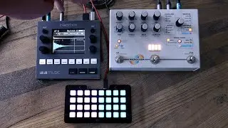 1010 Blackbox / Microcosm / Granular / FX