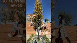 AXISS PREMIUM | Prezentacja | Coletto
