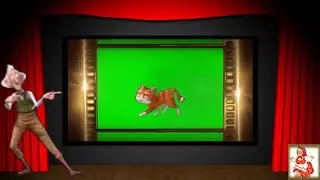 ФУТАЖ Кот Гром и другие. Клип.2019