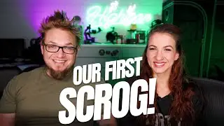 LET THE SCROGGING BEGIN! LIVE🔴