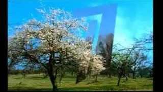Заставка ОРТ 2001 2002,вишневое дерево