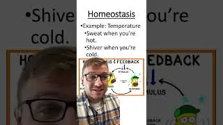 Homeostasis