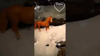 Vermisst ihr den Winter❄️ oder freut ihr euch schon auf Frühling?🌷😊