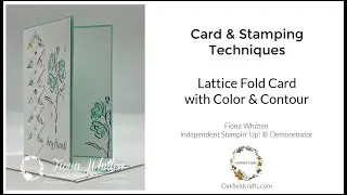 Lattice (braided) fold card using the Color & Contour stamp set