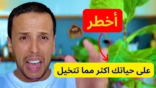 سر من أسرار الحياة السعيدة: المعتقدات وخطورتها و كيفاش تحرر راسك من المعتقدات السلبية.