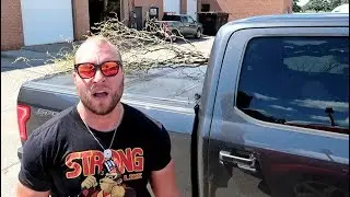 TREE vs TRUCK!