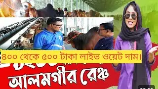 আলমগীর রেঞ্জের গরুর দাম,যারা ফ্যামিলি নিয়ে এসে গরু কিনতে চান।