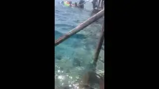 Snorkeling at Sharm El-Shekh
