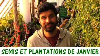 QUE SEMER ET PLANTER EN JANVIER ?