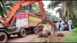 Indonesia Palm loading to the truck by jinggong wheeled excavators JG75S equipped with grabber