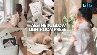 Aesthetic Glow ✨ Lightroom Preset | Free Lightroom Mobile Preset | Film Preset | Grainy Aesthetic