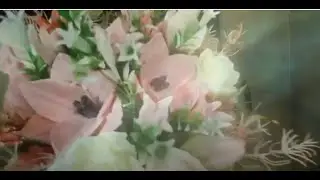 Поздравляю Карину и Александра с днём свадьбы!