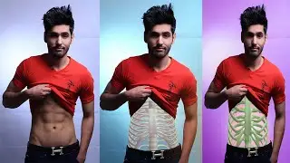 How to Rib Cage place in image with Photoshop - Step by Step | Graphics Vocabulary | Photoshop CC