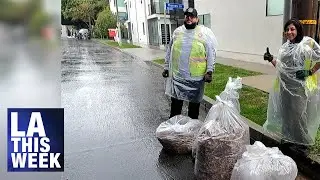 Shine LA Community Cleanup