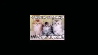 дисс на егора, только soft