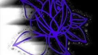 Iris - Whatever