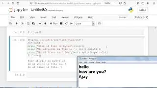 How to count no of chars, words or lines in a file in python?