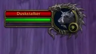 Classic WoW Hunter | Hunter Guide | Hunter Rarespawn | With Commentary