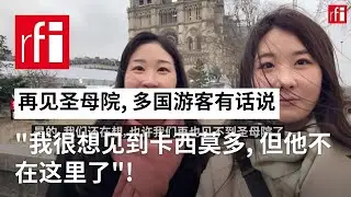 再见圣母院，多国游客有话说: “我很想见到卡西莫多，但他不在这里了！”