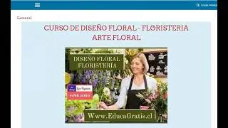 Curso de Diseño Floral - Floristería