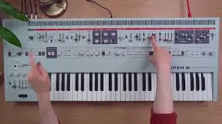 UDO Super 8 - Hazel's Evolving Sounds