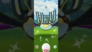 Primal Shiny Shocked me in pokemon go.