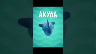 Talking ABC RUS :A Акула