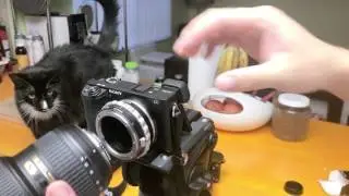 K&F Concept Nikon G Mount Lens to Sony E Mount Lens Adapter Unboxing and Quick Review (4K HD)