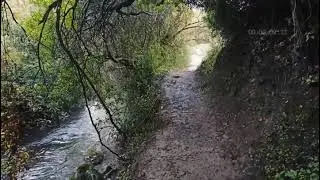 Sendero del Majaceite