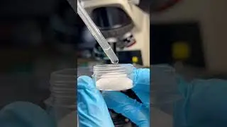 Salt-water Versus bacteria under the Microscope!