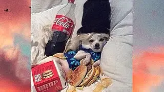 СОУС КАК В БИГ МАКЕ