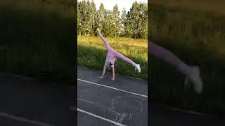Лиза акробатит