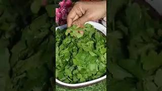 इन पत्तों के फायदे सुनकर आप भी चौंक जाएंगे | Dinner Recipe | Veena Food Channel