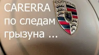Carerra по следам грызуна